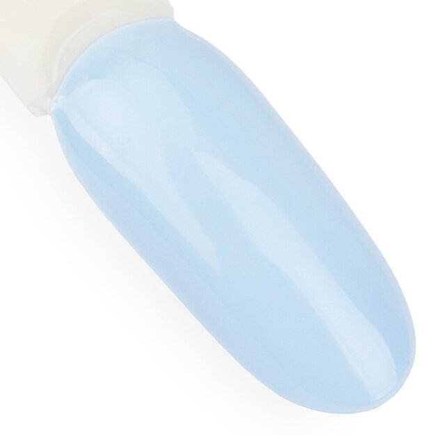 Ilgalaikis gelinis nagų lakas NTN 06, 5 g 2